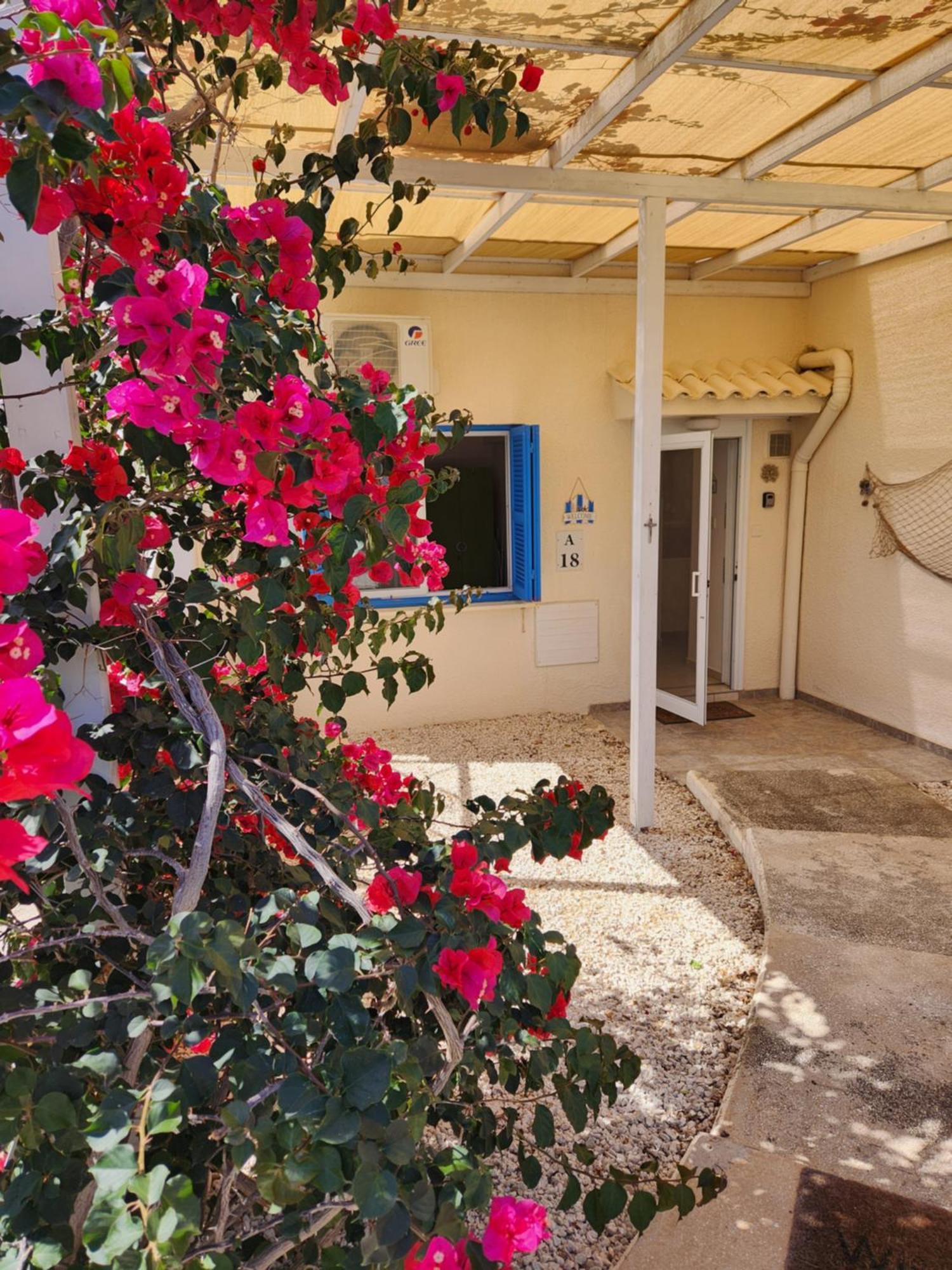 Ocean Pearl Pegeia Exterior foto